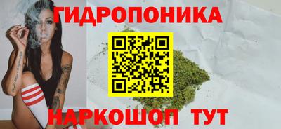шишки Среднеуральск