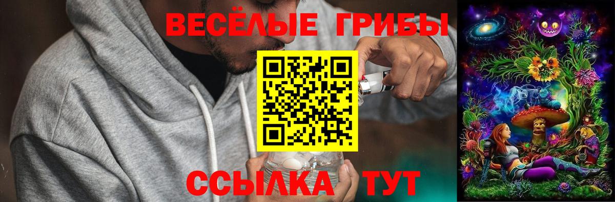 Псилоцибиновые грибы Cubensis  Псилоцибиновые грибы мицелий  закладки  Александров  Вход с VPN 