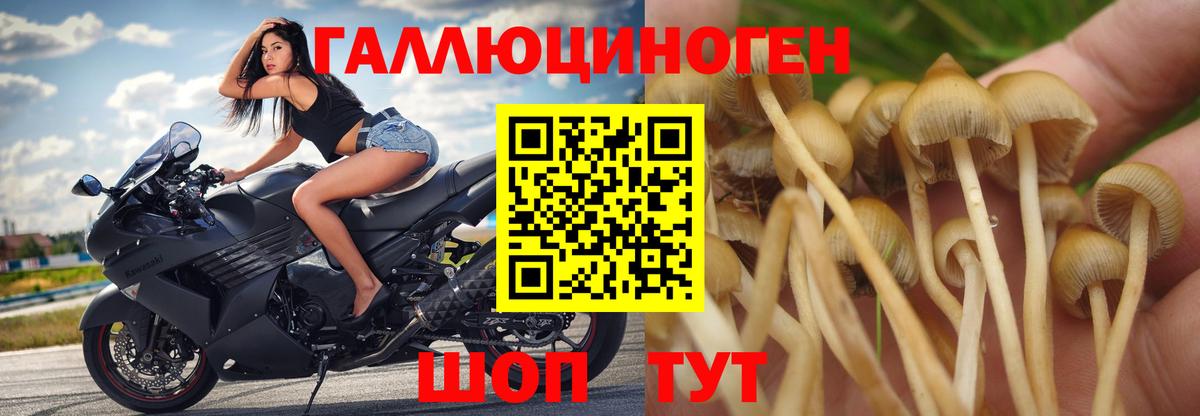 Псилоцибиновые грибы мухоморы Александров